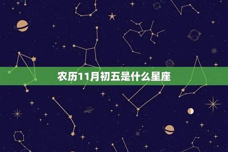 生辰八字是怎样看属什么的？