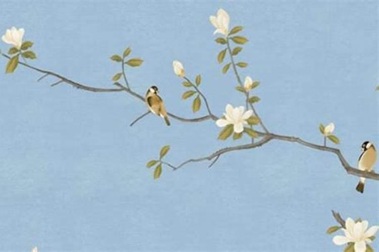 梦见飞机坠落在学校操场很多同学都在场,我正好在学校门口准备进去？