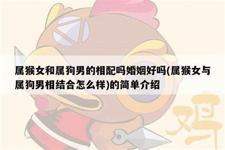 十二生肖属相之三合水局,属相三合什么意思