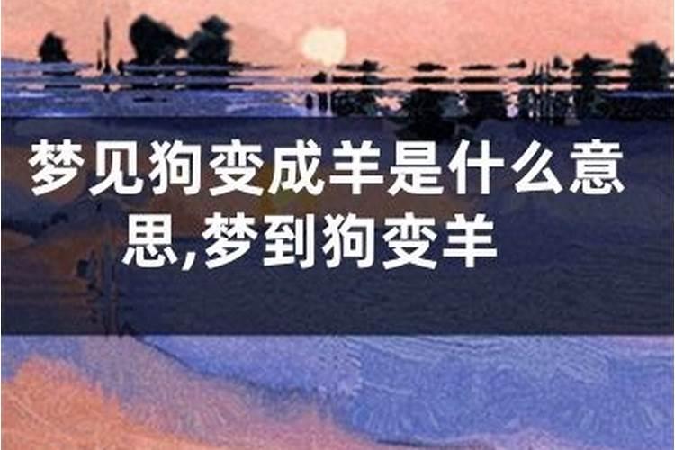 梦见狗羊是什么意思？