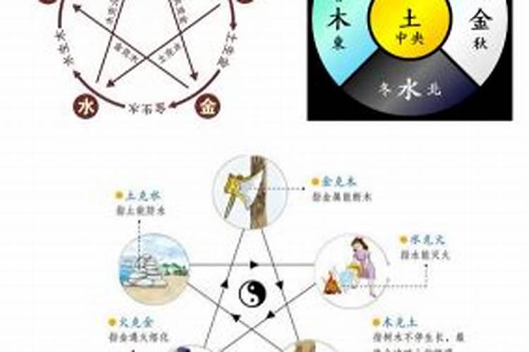 八字天干与地支的相互关系如何？如何组合排列