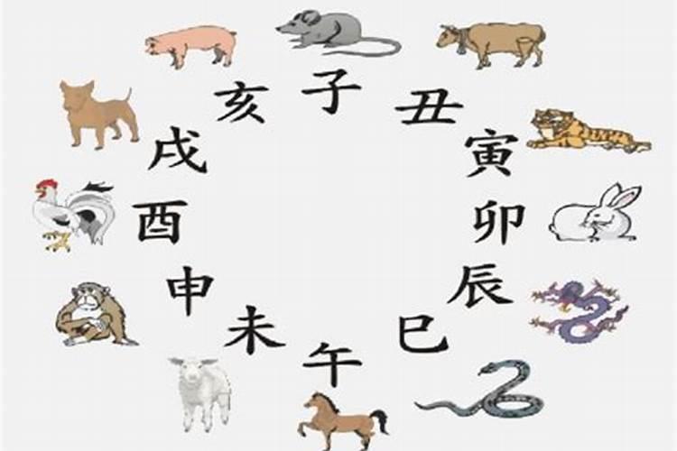 属蛇的十二月运势,属蛇人十二月份的运气