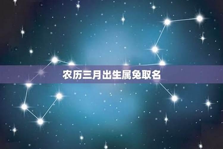 属兔三月出生的命运如何农历三月出生属兔人命好吗