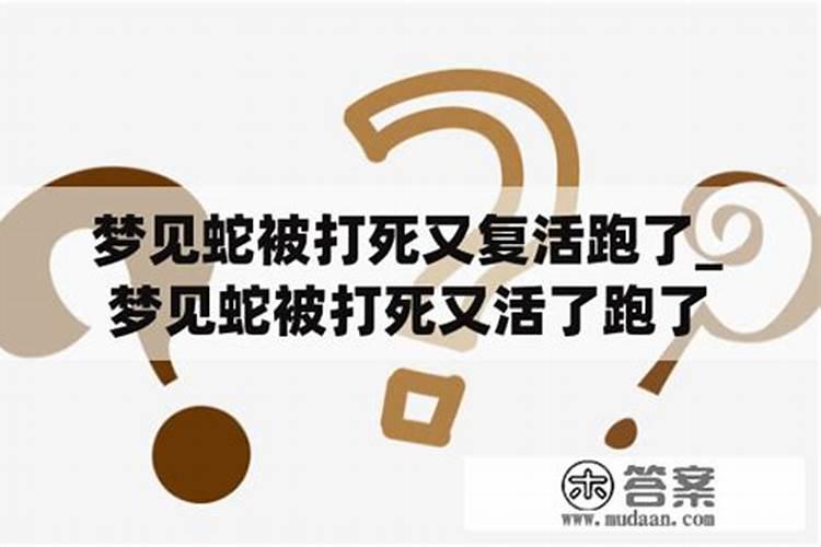 梦见黑色大蛇被我弄死了的预兆