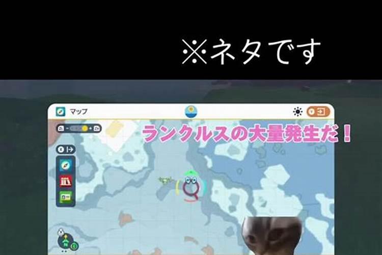 2025年阴历初五哪个时辰出生女孩最好