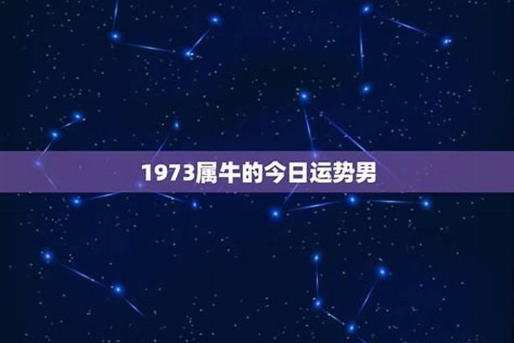 2025属鸡人每月运势及运程如何