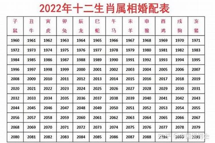 十二生肖夫妻配对表
