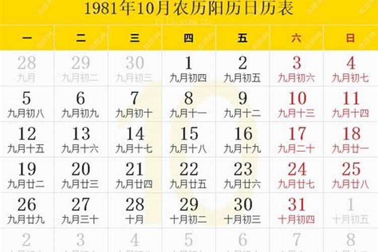 我1981年农历10月10日 属鸡 2013年我的星座所有运程和幸运数字是什么...