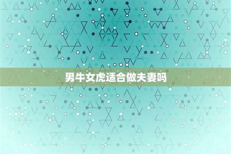 属虎男的和属虎女的婚姻合适好吗 男虎跟女虎相配结婚好吗