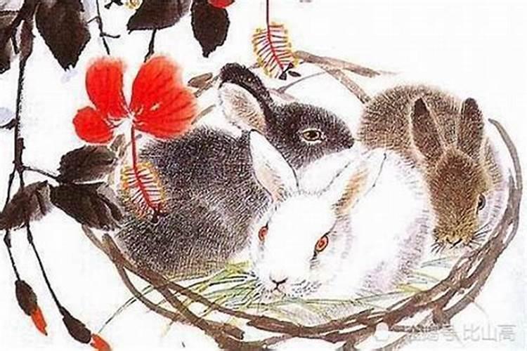 从三月十五日开始 桃花运上升 有异性缘 会得到爱的四大生肖