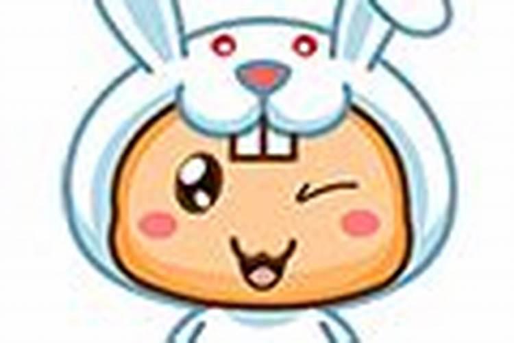 2025属兔人的全年运势如何
