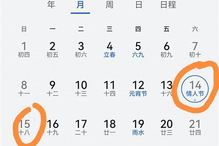 1987年属兔2025年的运势及运程如何