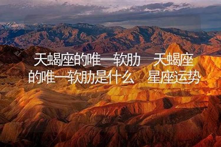 天蝎座唯一的软肋星座