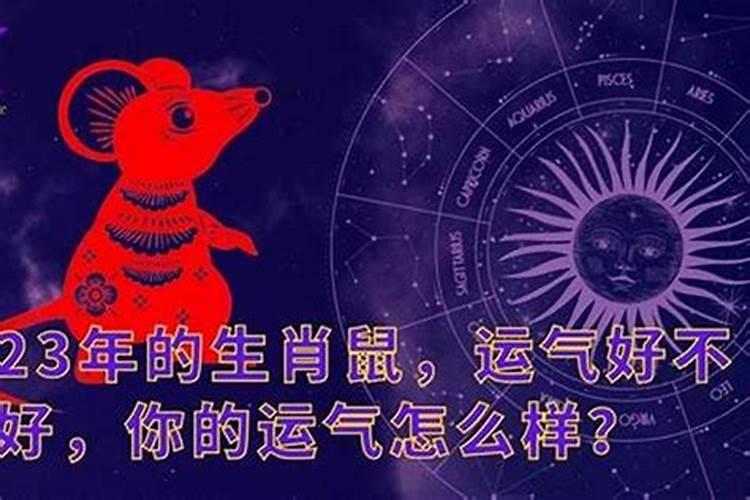 84年2025年属鼠人的全年运势