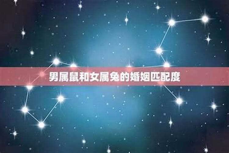 鼠最忌讳的三个属相