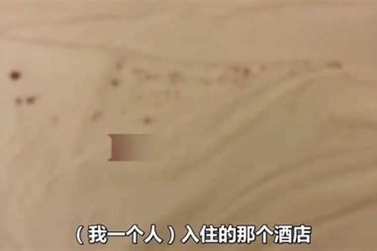 2025属狗人的运气和财运如何