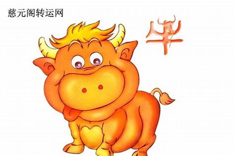 1949年出生属牛人2023年运势及运程