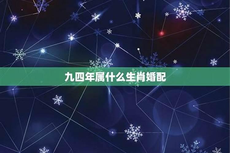 1994年生肖的人如何