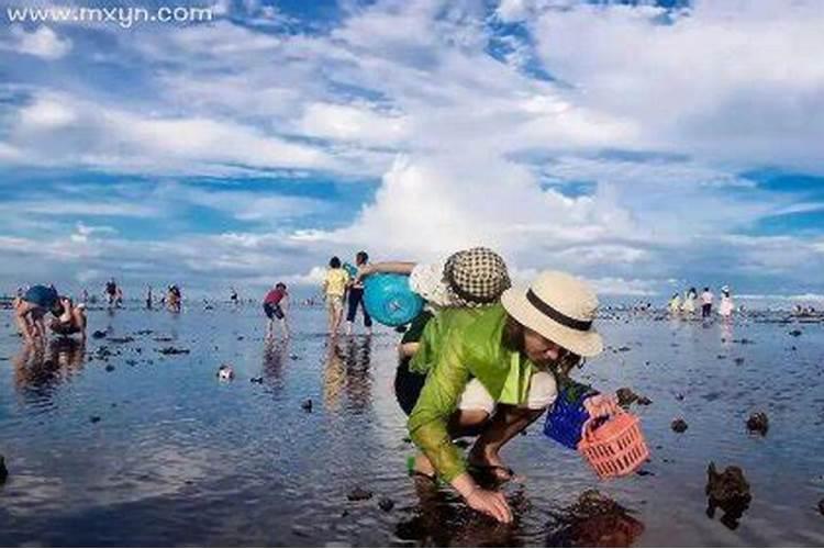 梦见大海退潮捡海鲜是什么意思
