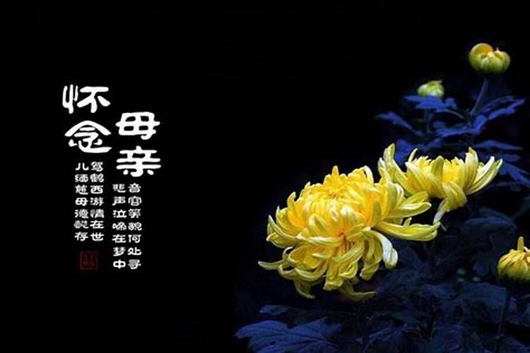 旺事业运最强的水晶带什么水晶招财旺运