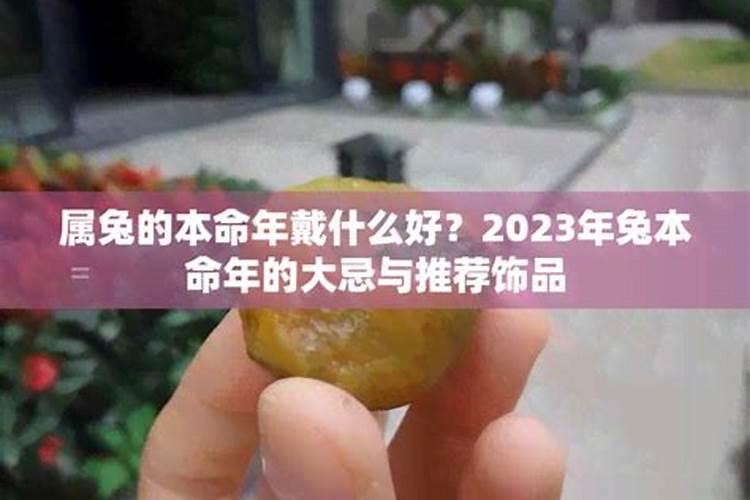2025年属鸡犯太岁吗