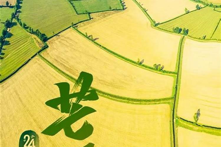 2025属羊今年有一难是什么