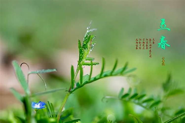 梦见和喜欢的人同游的预兆