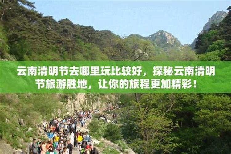 农历2003年4月初十,10点半出生女属羊的生辰八字是什么