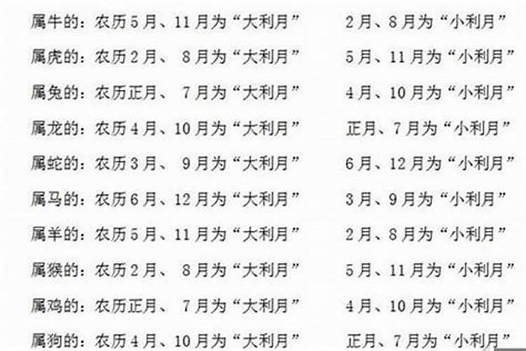 属蛇的男人选择的老婆是什么属相