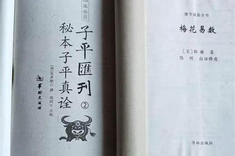 2025年太岁在哪个方位