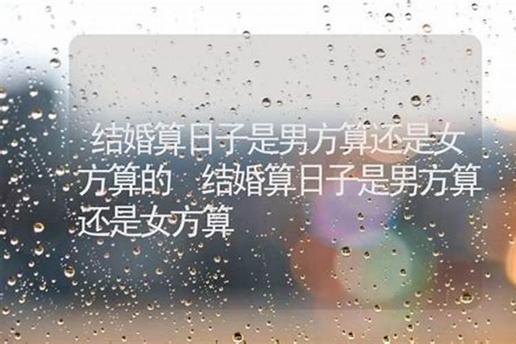 里挑外撅解是什么生肖