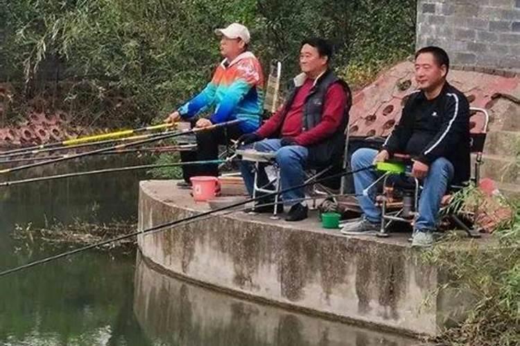 女羊男鸡结婚好不好能过一辈子吗