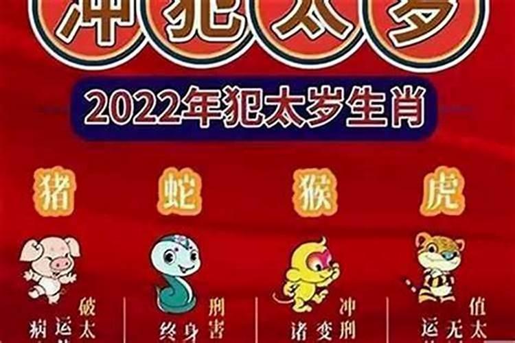 70年属狗人49岁后命运,70年肖狗人的一生命运