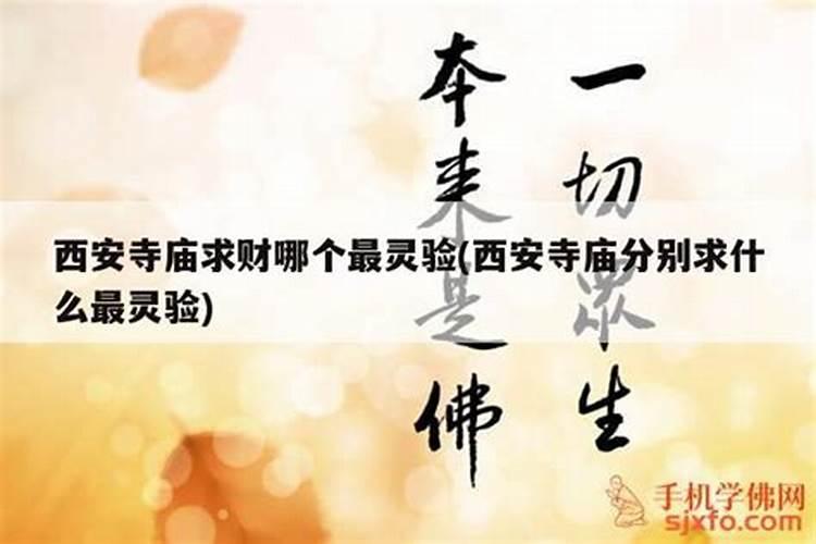 梦见蛇很多有什么预兆 梦见蛇很多好还是不好