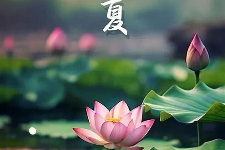 骆驼祥子第十四章的刘四爷生日办寿宴那天其他车夫对待祥子的态度有何...