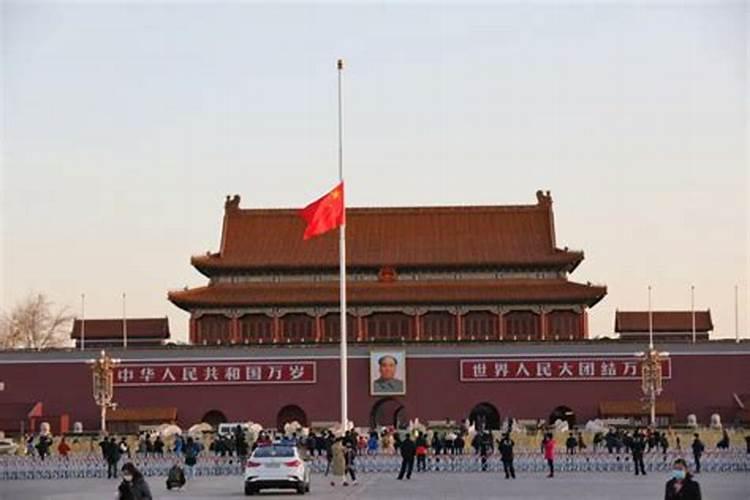 做梦梦到猫是什么意思 快来了解看看吧
