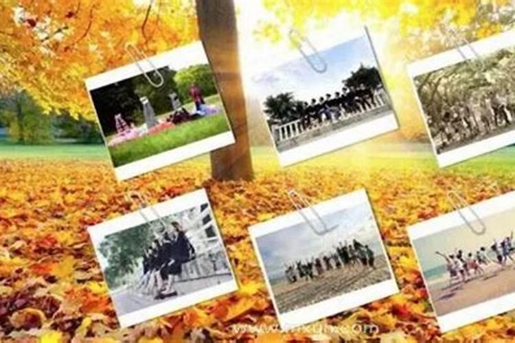 2025年犯太岁的生肖佩戴吉祥物