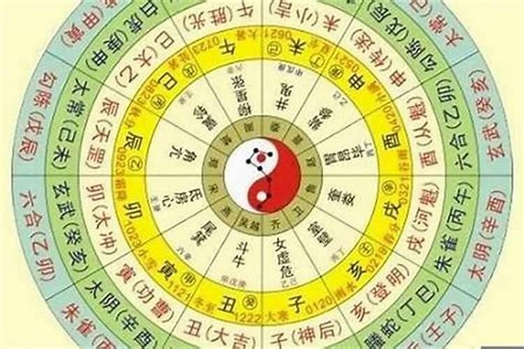 2021年2月生肖鸡的财运好不好 属鸡人的求财位置详解