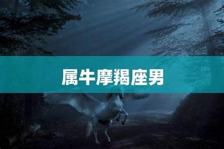 1969属鸡男在2024年的运势