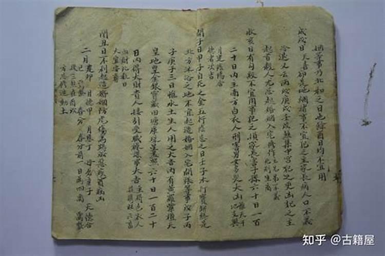 男人梦见猫是什么预兆