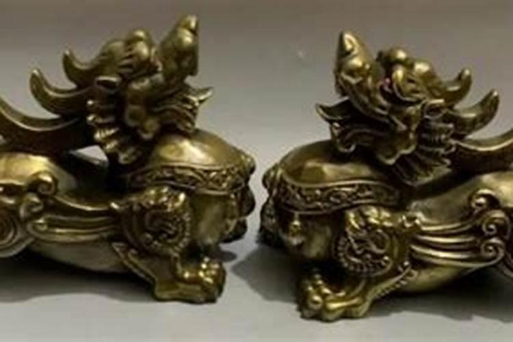 本命年兔年家里摆哪些绿植 本命年兔年家里摆什么绿植
