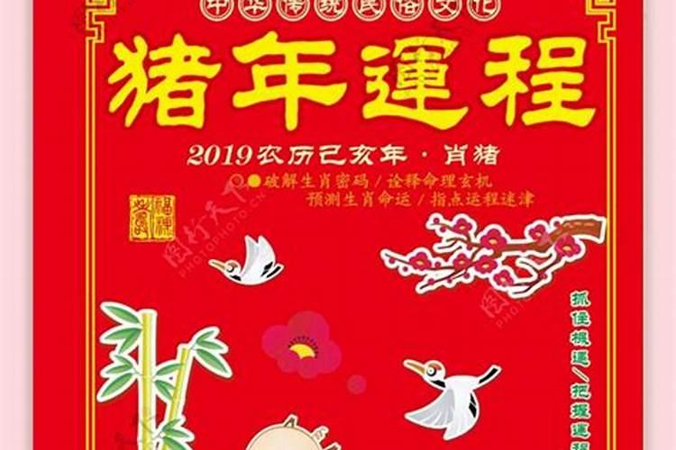 2025年猪1995年运势及运程