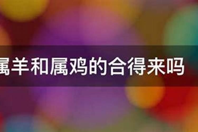 属鸡和羊的婚姻怎么样 男属鸡女属羊合婚吗