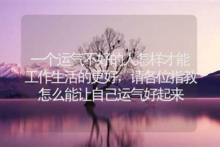 算命的书籍有哪些