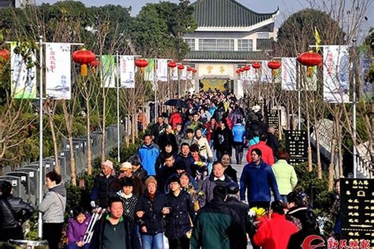生肖虎1962年2025年运势如何 生肖虎1962年2025年全年运势