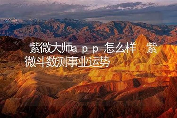 射手座的幸运花和幸运植物是什么
