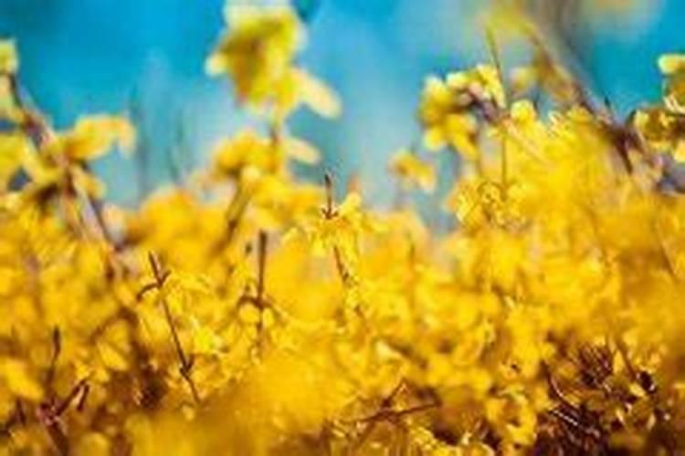 命理十神:七杀坐地支十神之说法