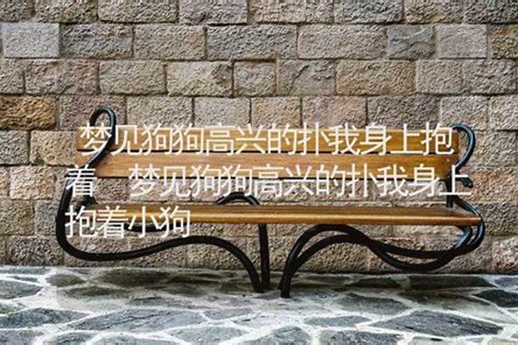 梦见狗狗对我特别亲热黏不走