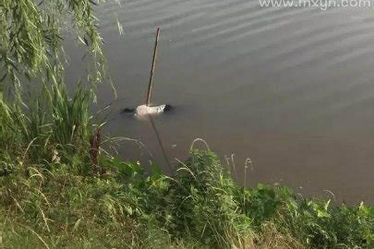 算日子不困是什么意思？