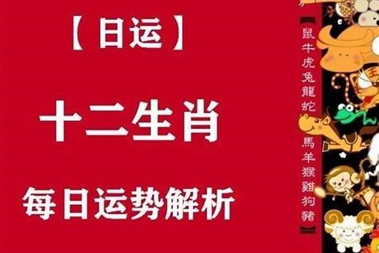 冬至后转运的生肖